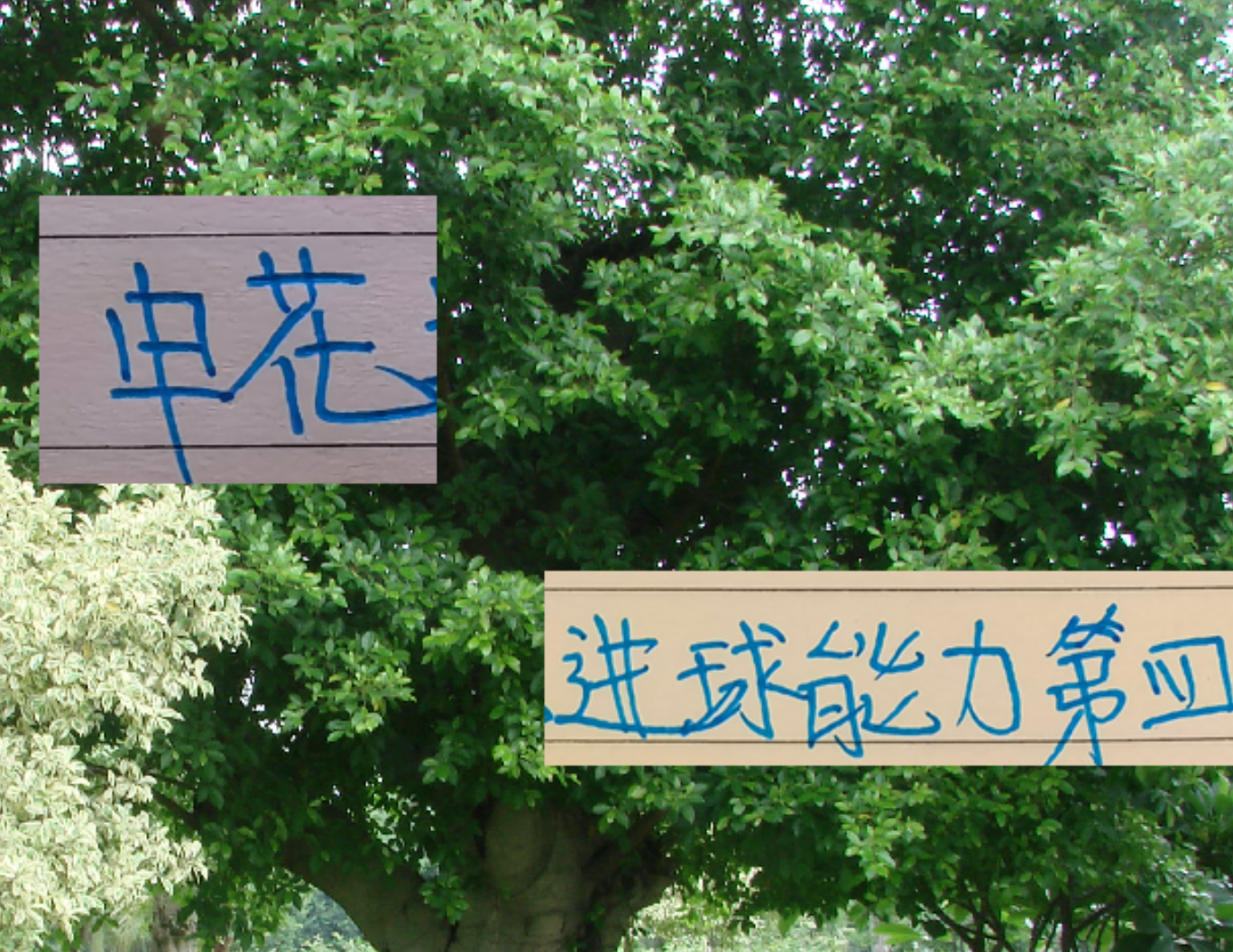 申花进球能力中超第四 但外援没一个进射手前10 真是内援带外援踢